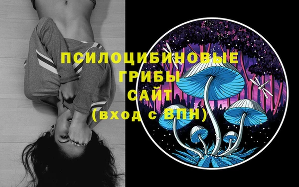 альфа пвп Нефтекумск